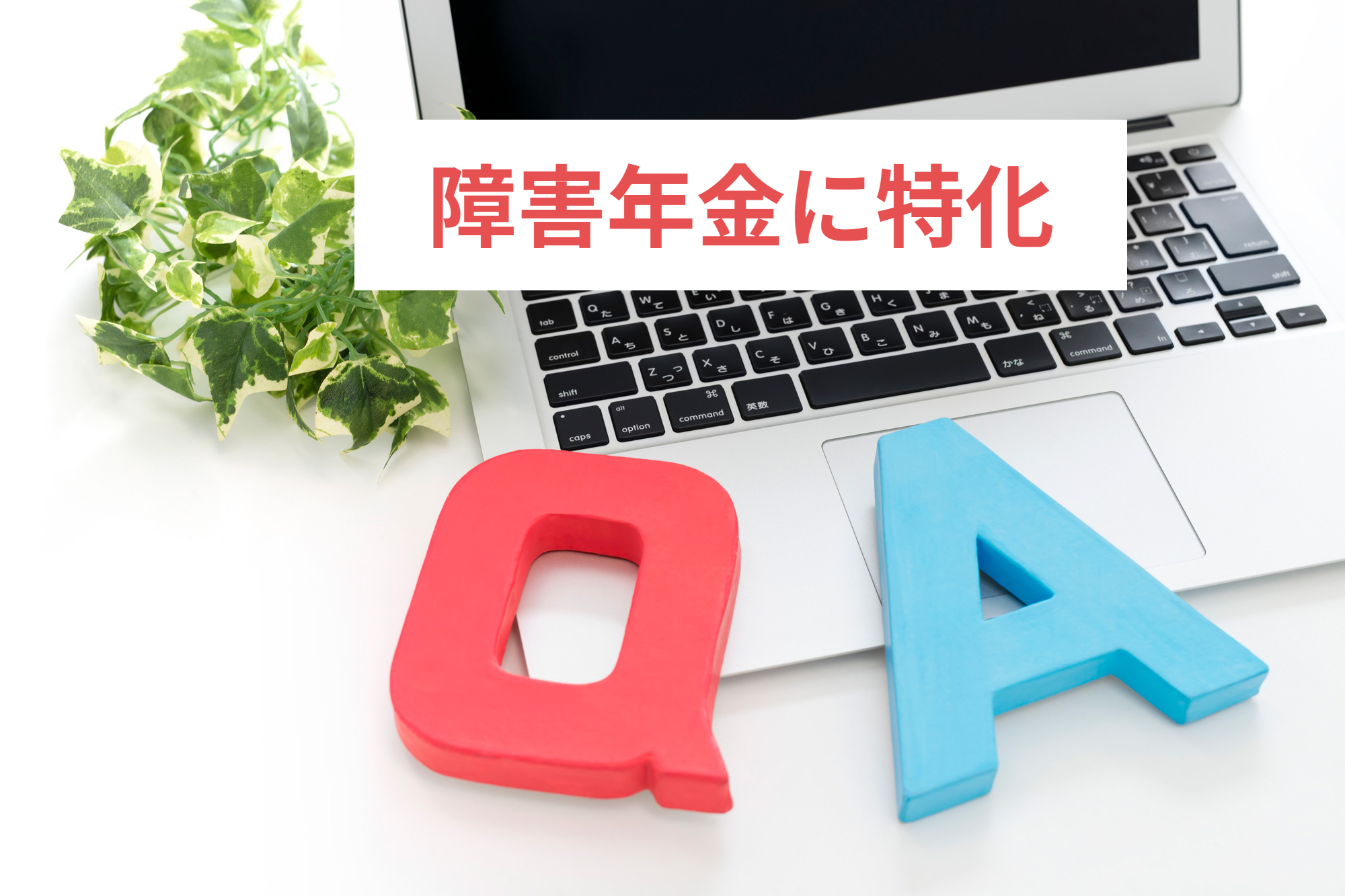 障害年金に特化