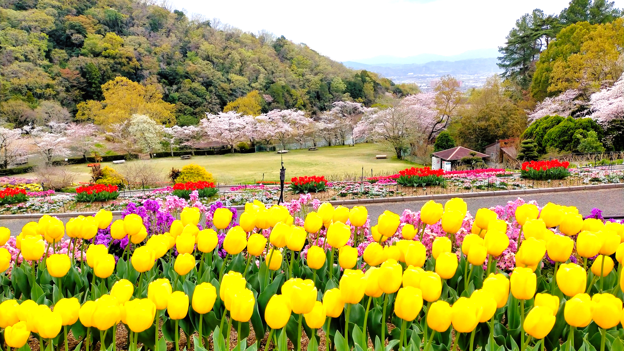 つぐみ社労士事務所はあなたの今をサポートします